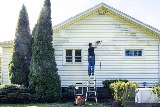Best House Exterior Washing  in Craigsville, WV